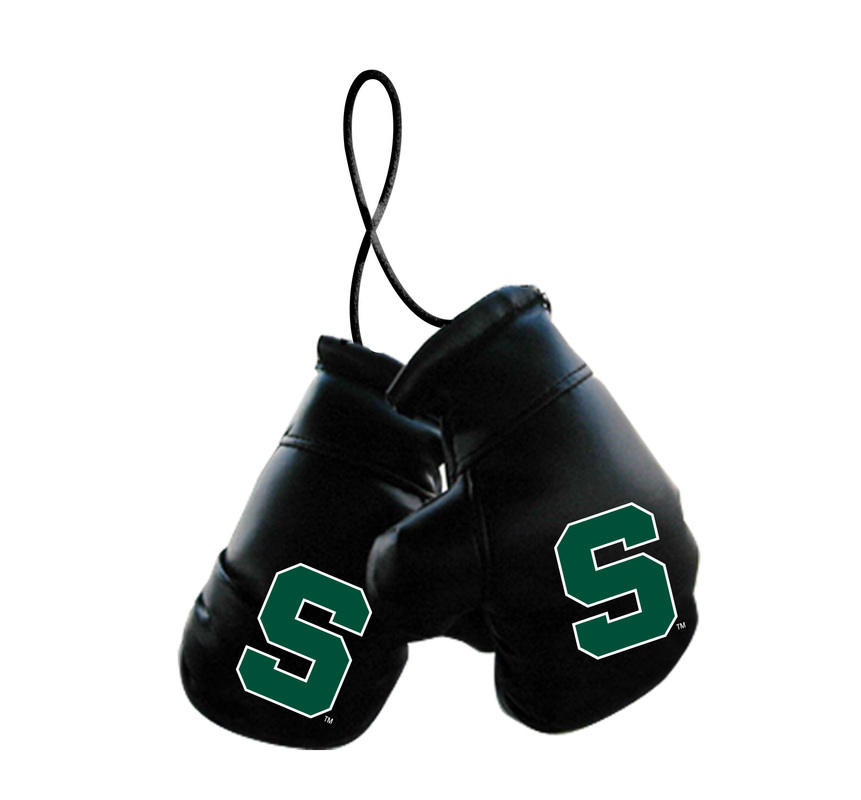 Michigan State Spartans Boxing Gloves Mini CO